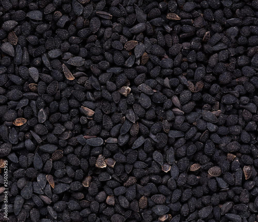 High quality seeds of contrast nigella, flower in a texture form for your personal garden. Can be used by seed producers for create new beautiful packaging with seed on background. High quality seeds of contrast nigella, flower in a texture form for your personal garden. Can be used by seed producers for create new beautiful packaging with seed on background.