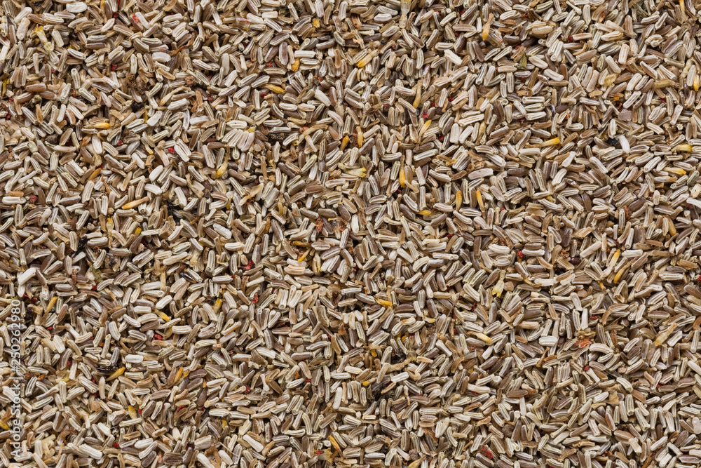 High quality seeds of gentle camomile, flower in a texture form for your personal garden. Can be used by seed producers for create new elegant packaging with seed on background. High quality seeds of gentle camomile, flower in a texture form for your personal garden. Can be used by seed producers for create new elegant packaging with seed on background.