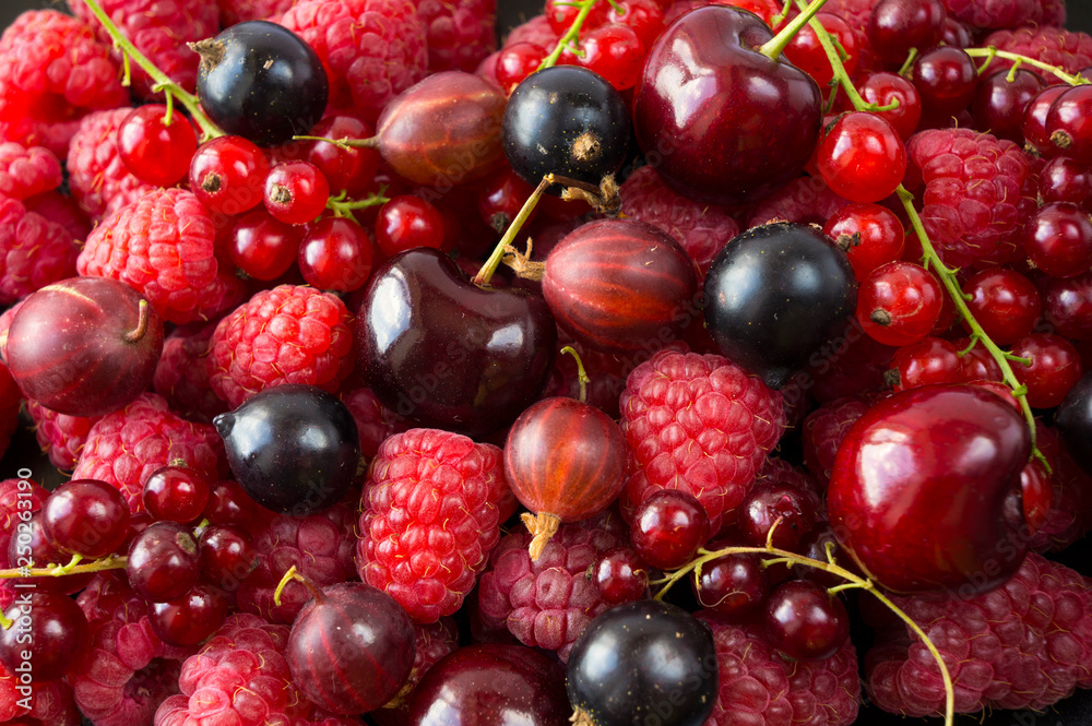 Ripe raspberries, blackcurrants, cherries, red currants and gooseberries. Mix berries and fruits. Top view. Background berries and fruits. Various fresh summer fruits. Ripe raspberries, blackcurrants, cherries, red currants and gooseberries. Mix berries and fruits. Top view. Background berries and fruits. Various fresh summer fruits.
