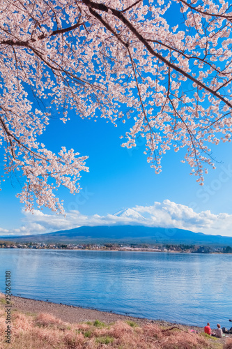 桜と富士山と河口湖 © taiyosun