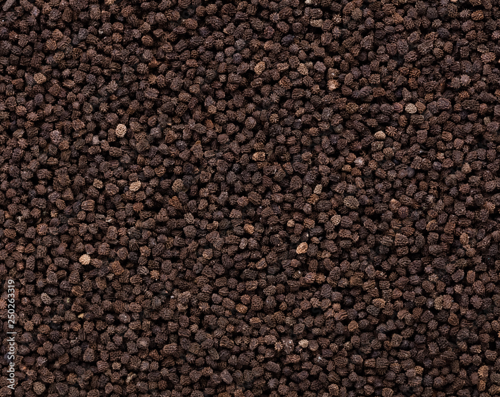High quality seeds of antirrhinum, flower in a texture form for your adorable garden. Can be used by seed producers for create new exquisite packaging with seed on background. 