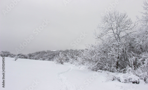 Snowy winter in the mountains © Igor Luschay