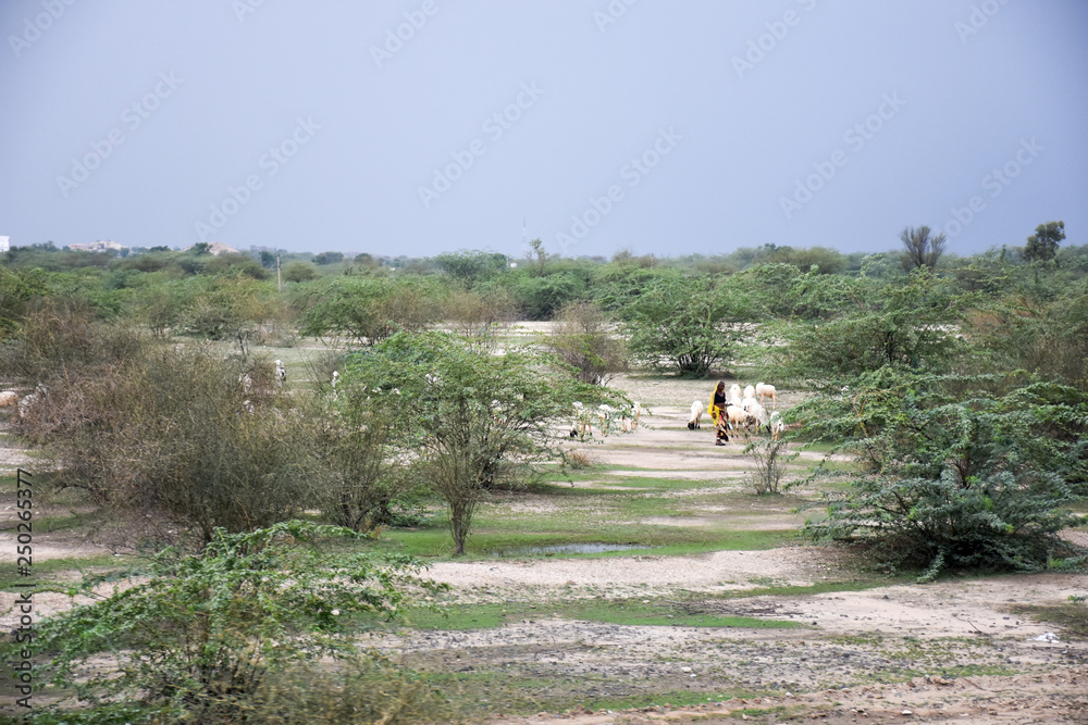 Obraz premium Incredibile India