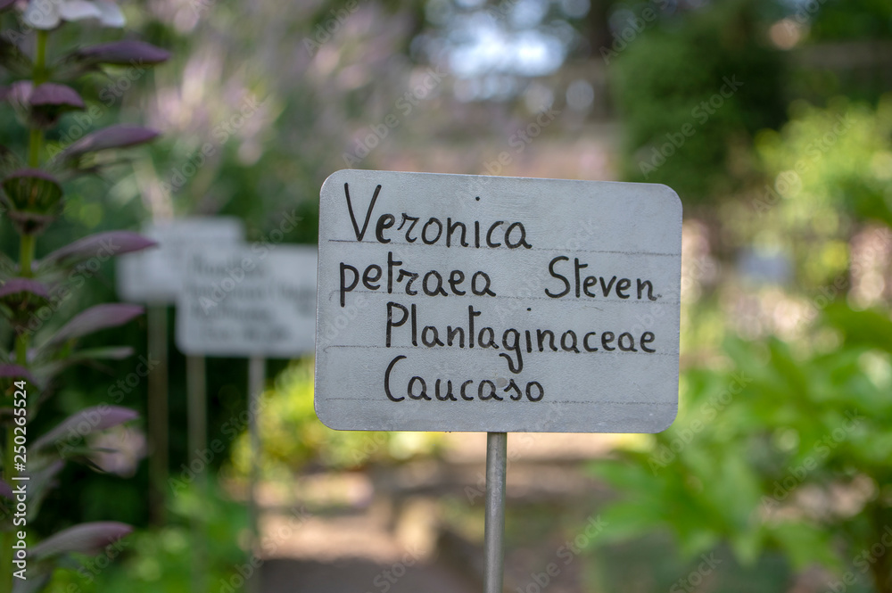 Beautiful metallic handwritten signposts with plant latin names in botanic garden