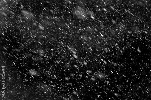 Falling real snowflakes, heavy snow