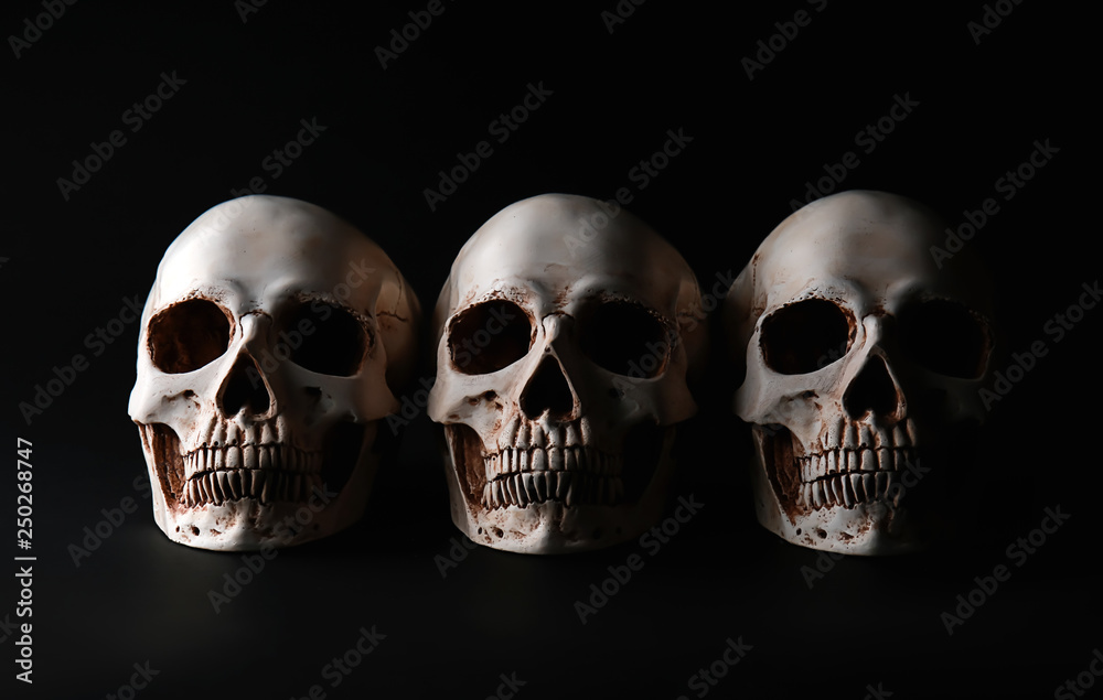 Human skulls on black background Human skulls on black background