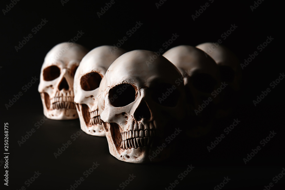 Human skulls on black background Human skulls on black background