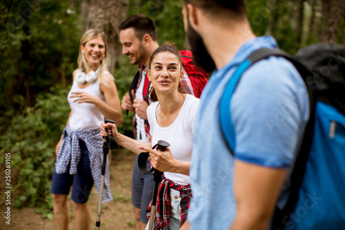 Group of four friends hiking together through a forest