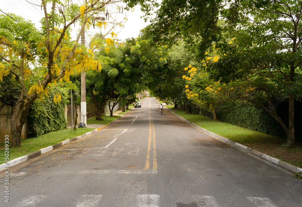 Nice fresh shadows cast by the trees in this road in Atibaia, Sao Paulo, Brazil.