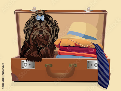 A dog in a suitcase. Baggage. Vector illustration.