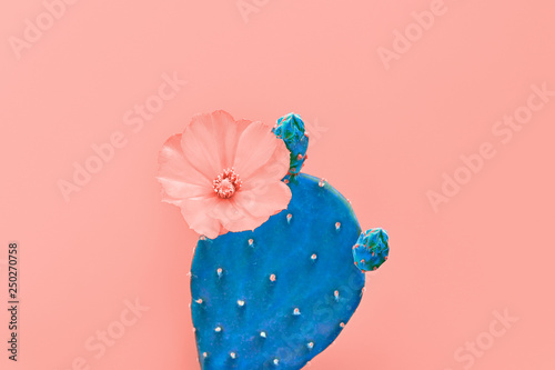 Fashion Cactus with flower on Trendy Living Coral pastel background, Minimal creative style. Fun Summer Sweet coral Mood. Close-up tropical cactus plant. 16-1546