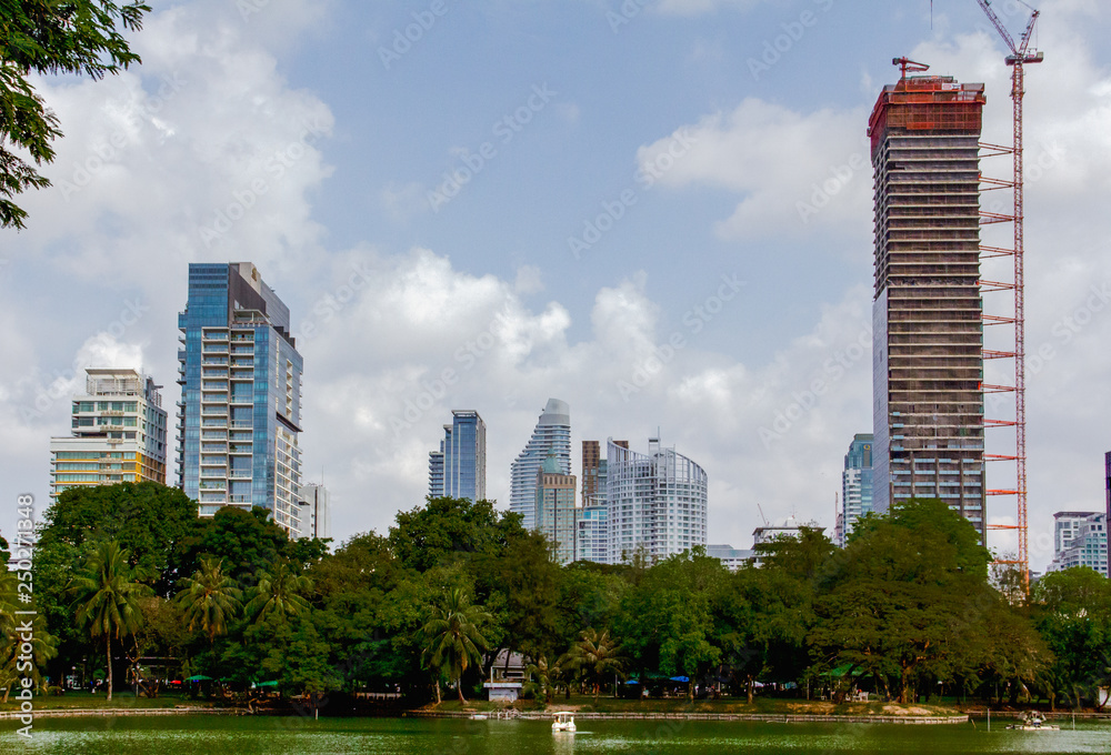 Fototapeta premium High-rise buildings beside the park