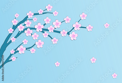 Beautiful pink blooming sakura tree on blue background