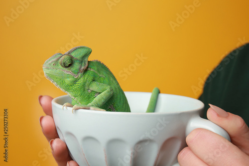 Woman holding cup with cute...