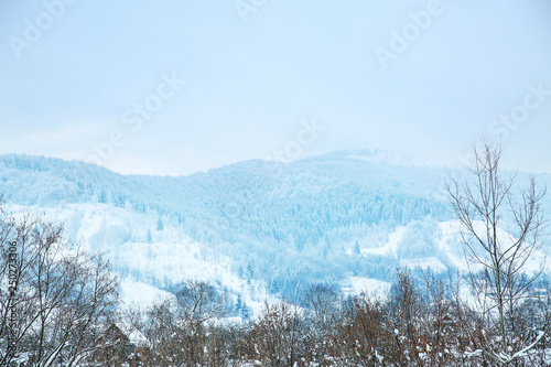 Beautiful snowy mountain resort on winter day © Pixel-Shot