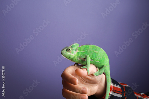 Woman holding cute green ch...
