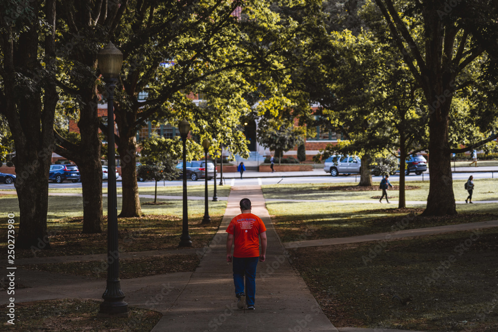 Student Walking on Clemson University's campus