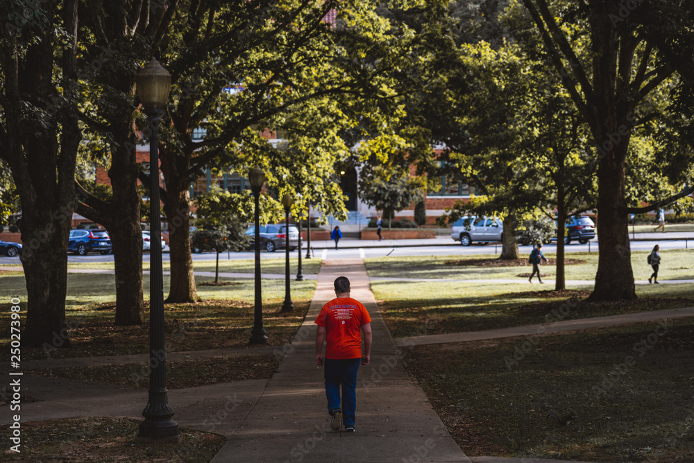 Student Walking on Clemson University's campus Student Walking on Clemson University's campus