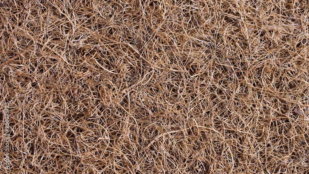 surface structure of a coconut mat surface structure of a coconut mat