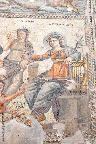 Ancient floor tiles mosaic at Kato Pafos, Cyrpus.