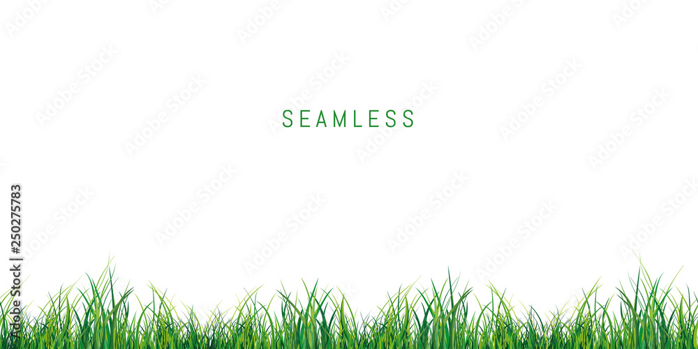 Fototapeta premium Seamless fresh green grass on white background