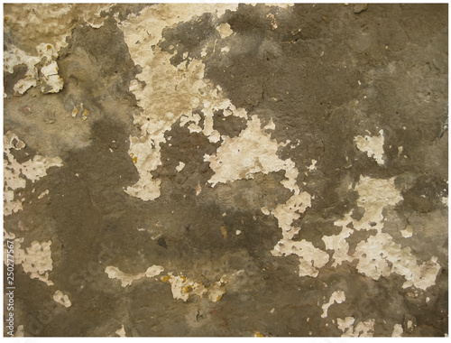 Grunge Wall Vector Color Texture