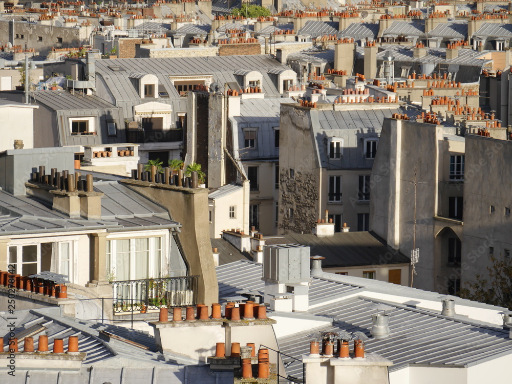 Above the rooftops of Paris, detail view with the many red chimneys typical of Paris.