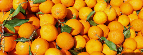 background of many ripe oranges with leaves