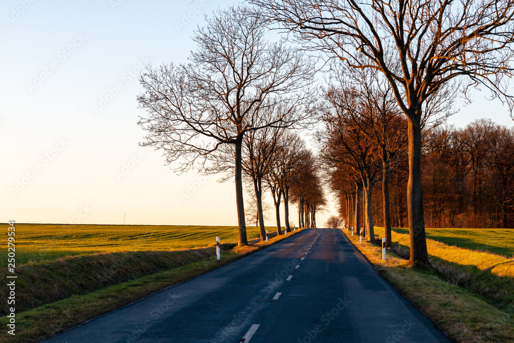 road in the countryside road in the countryside