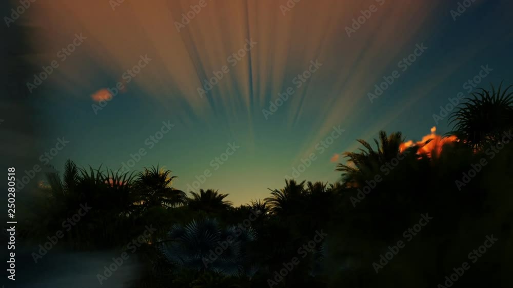 Beautiful sunrise over palm tree forest Beautiful sunrise over palm tree forest