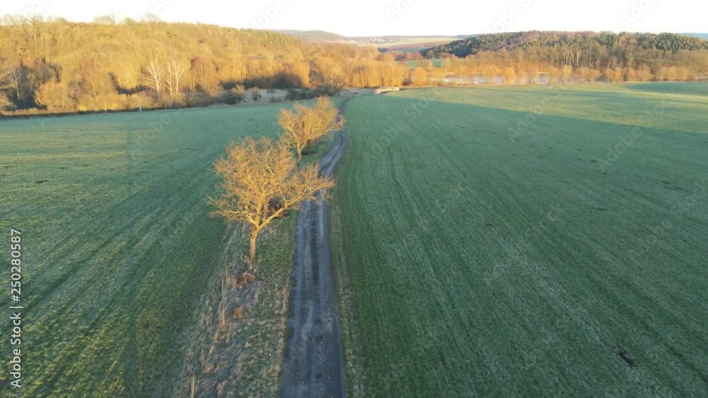Feld