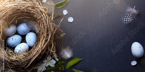 decorated Easter eggs in nest and spring flower on table background