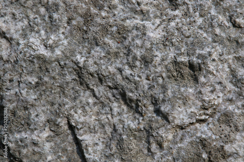 A closeup of a granite wall with white and gray colours