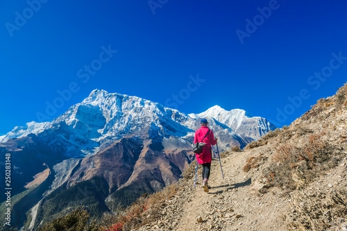 Trekking girl on the way to Ice lake, Annapurna Circuit Trek, Nepal. Girl supports herself on the trekking sticks. Dry trails with small rocks on it. In front high and snowy Himalayan mountain.  photo