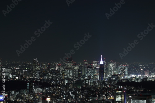 東京の夜景 © 藤木N鮭