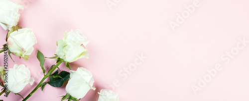 Flowers composition. White rose on pastel pink background. Holiday Party and Gift Concept. Flat lay  top view  copy space . Banner