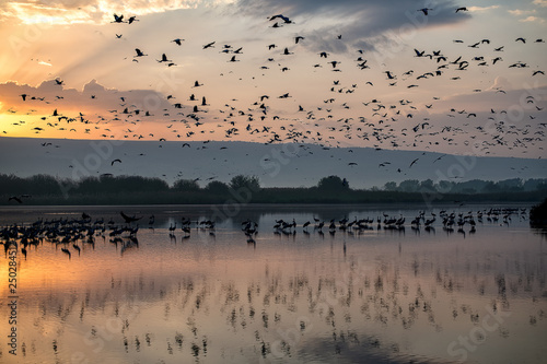 Hula Lake Sunrise