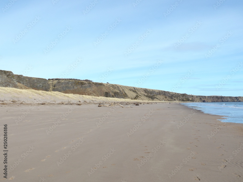 beach and sea