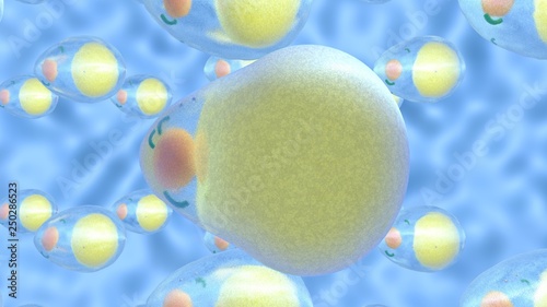 Tablou pe pânză 3D illustration of adipocytes that increase due to the huge number of fat molecules