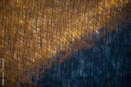 Bieszczady