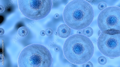фотографія 3D illustration of cell division process.