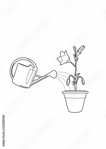 Drawing of a watering can and a plant