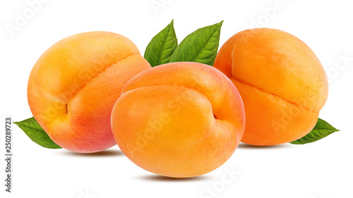 Fresh apricot isolated on white background with clipping path