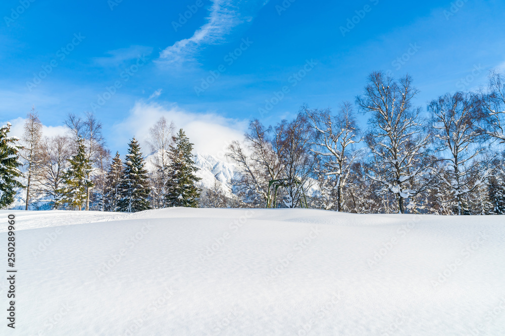 Winter landscape with with snow covered Alps in Seefeld in the Austrian state of Tyrol. Winter in Austria Winter landscape with with snow covered Alps in Seefeld in the Austrian state of Tyrol. Winter in Austria