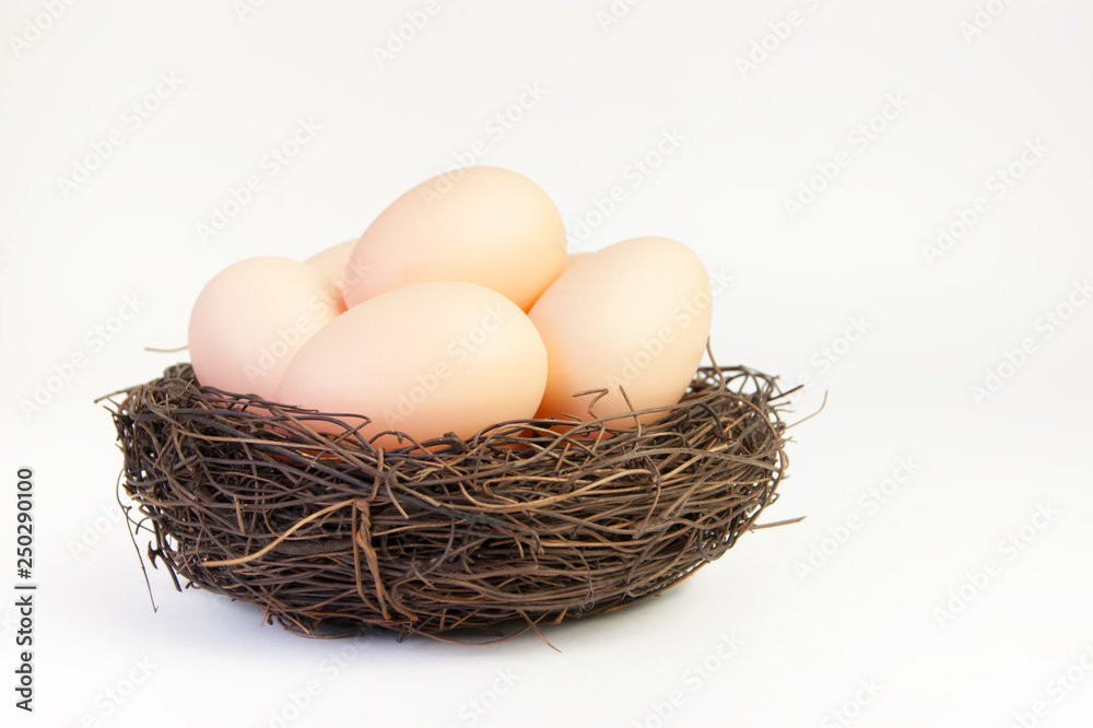 Beige eggs in the nest of branches on a white background Beige eggs in the nest of branches on a white background
