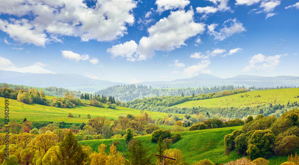 Picturesque landscape in carpathians mountains Ukraine. Hills covered with green meadows with grass and forests trees. Blue sky with clouds. Summer panorama.