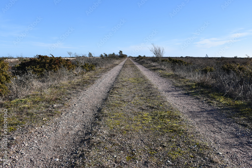 Fototapeta premium Beautiful country road in a low perspective image