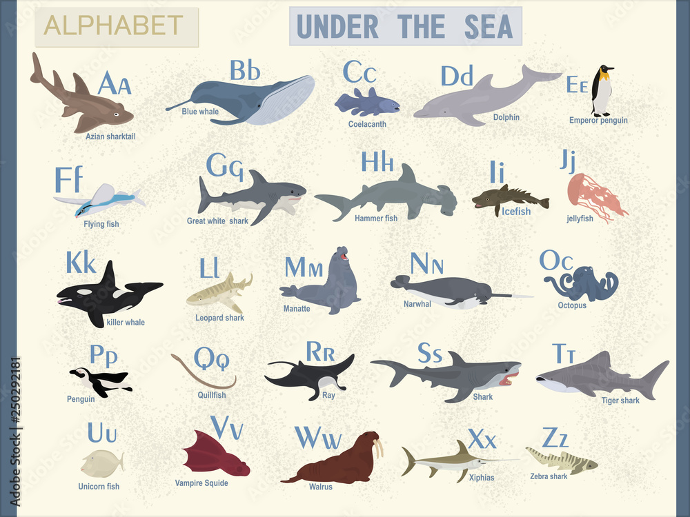 Vector english alphabet on the theme of sea animals. The name of marine  animals. Stock Vector | Adobe Stock