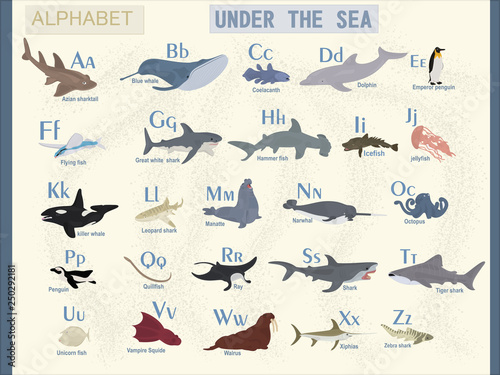 Vector english alphabet on the theme of sea animals. The name of marine animals.