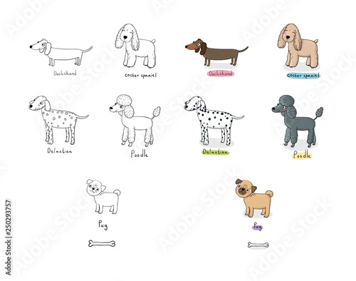 Cute cartoon dog breeds. Happy animals. Vector illustration